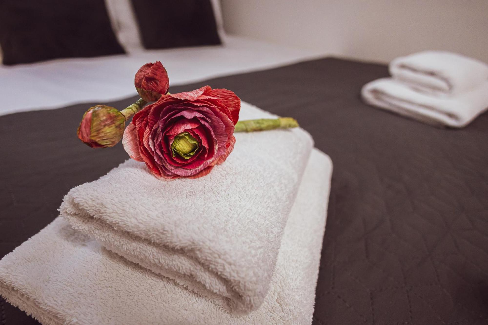 بلغراد Bg Exclusive Suites المظهر الخارجي الصورة
